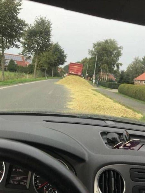 Sh*t Happens (39 pics)