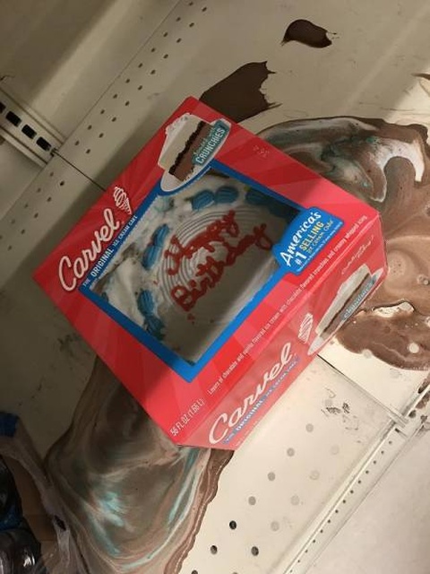 Everyone Hates It (35 pics)