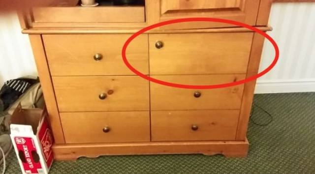 Everyone Hates It (35 pics)