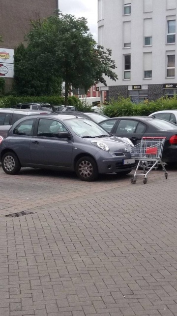 Everyone Hates It (35 pics)