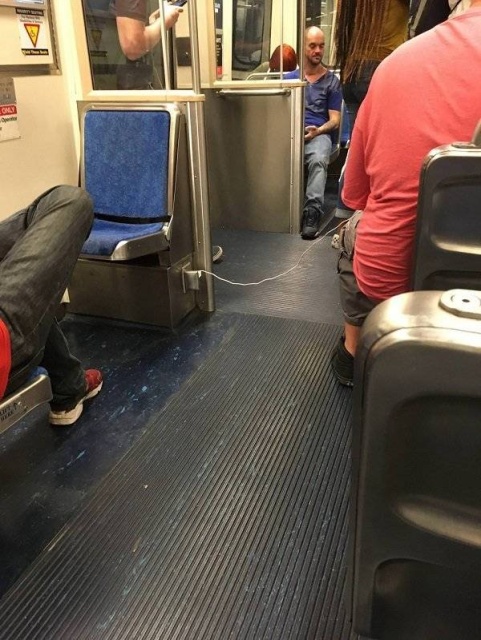 Everyone Hates It (35 pics)