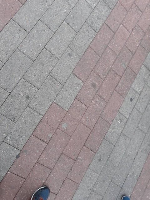 Everyone Hates It (35 pics)