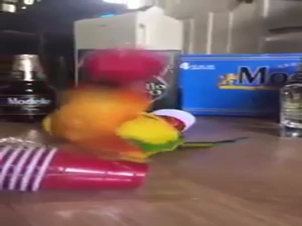 Parrot Vibrates Frantically While Holding Plastic Cup