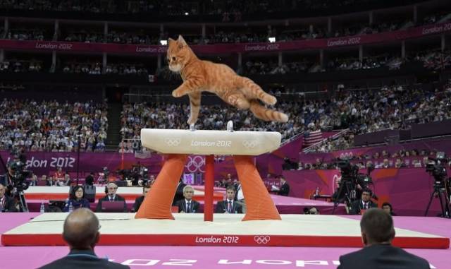 Funny Photoshops (29 pics)