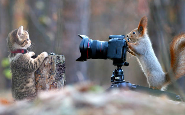 Funny Photoshops (29 pics)