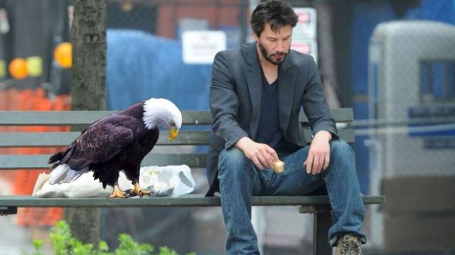 Funny Photoshops (29 pics)