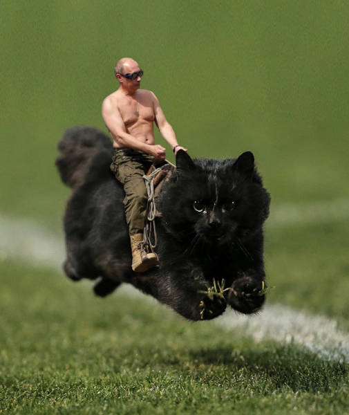 Funny Photoshops (29 pics)