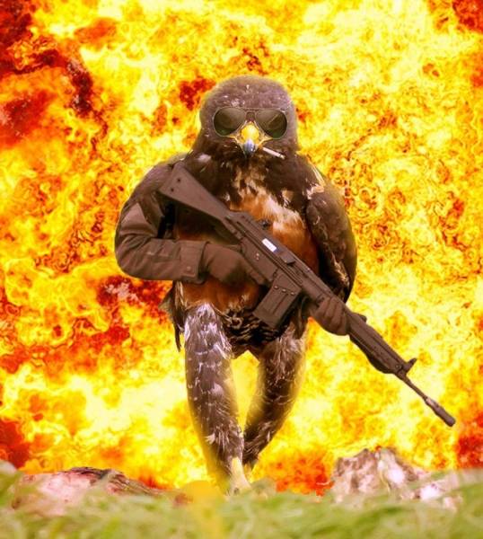 Funny Photoshops (29 pics)