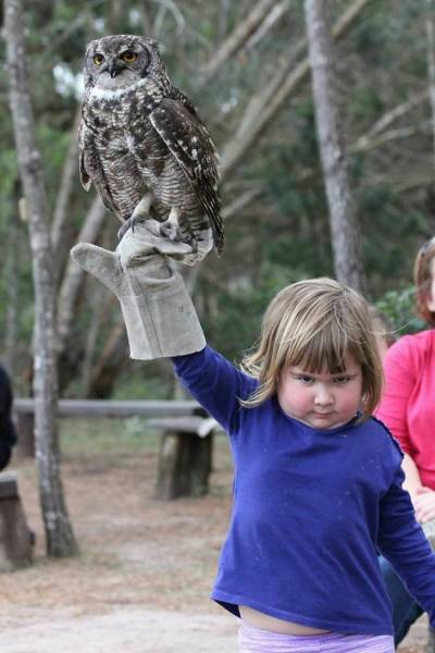 Funny Photoshops (29 pics)