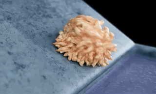 Amazing CGI Physics Simulations (18 gifs)
