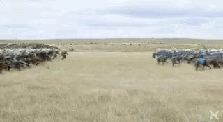 Amazing CGI Physics Simulations (18 gifs)