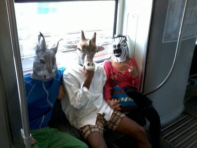 Acid Picdump (97 pics)