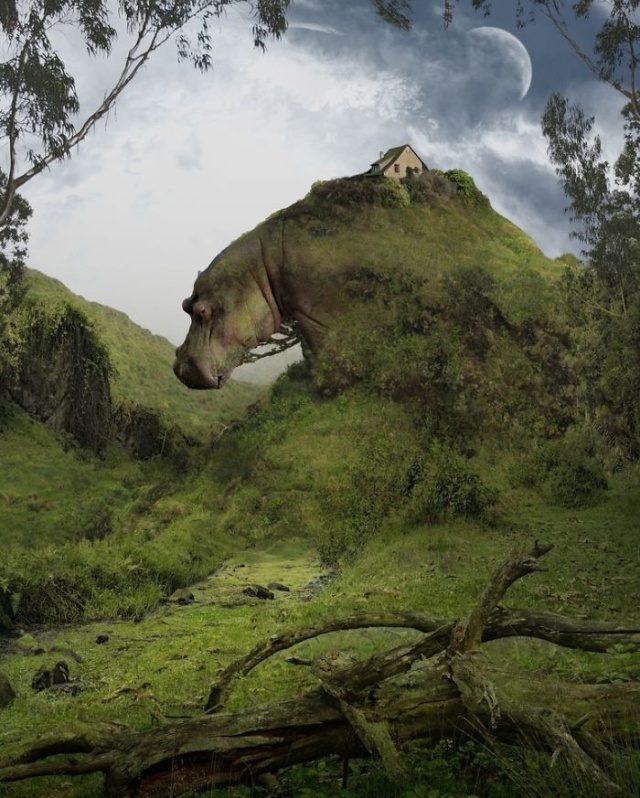 Surreal Animal Landscapes (21 pics)
