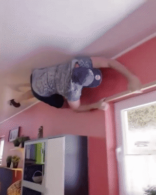 Acid Gifdump, September 14, 2018 (25 gifs)