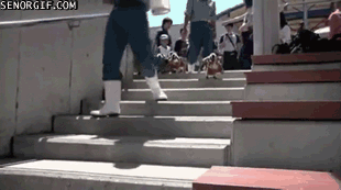 Acid Gifdump, September 14, 2018 (25 gifs)