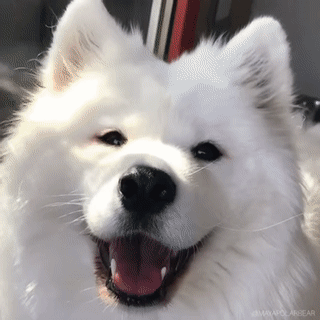 Acid Gifdump, September 14, 2018 (25 gifs)