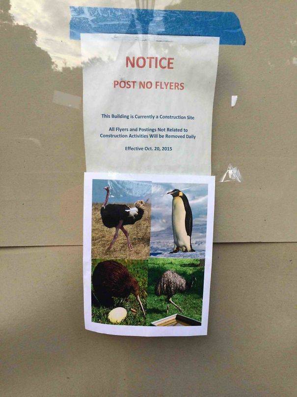 Funny Notes (36 pics)