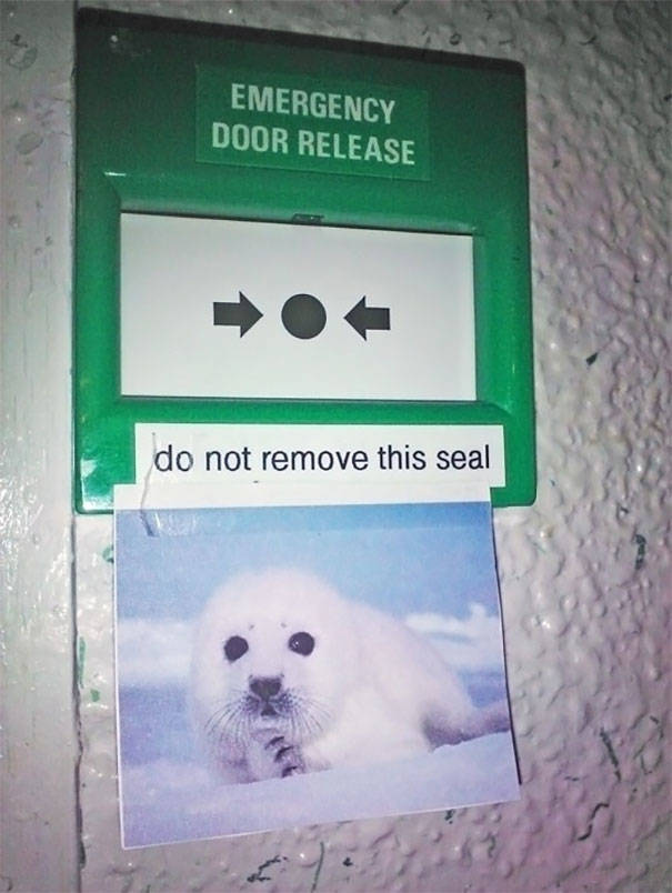 Funny Notes (36 pics)
