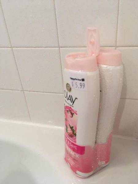 True Definition Of Laziness (29 pics)