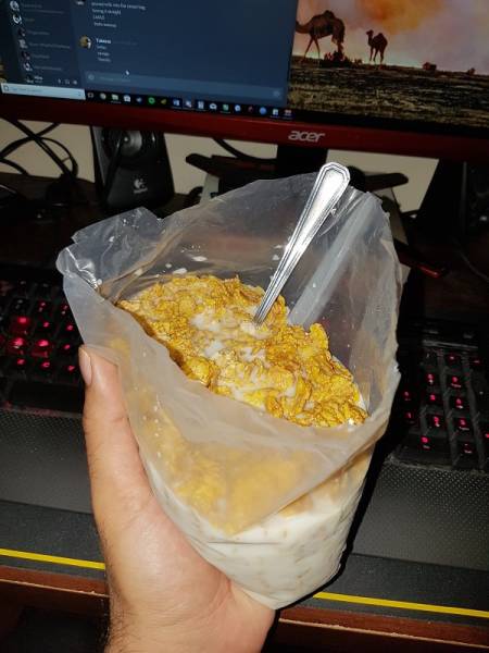 True Definition Of Laziness (29 pics)