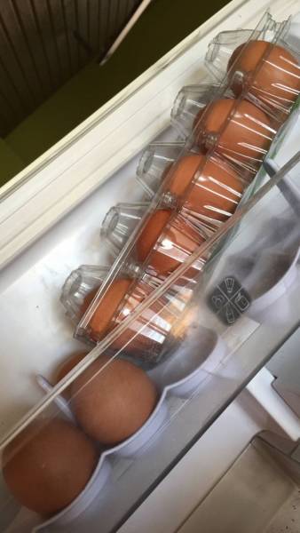True Definition Of Laziness (29 pics)