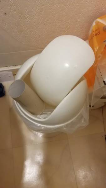 True Definition Of Laziness (29 pics)