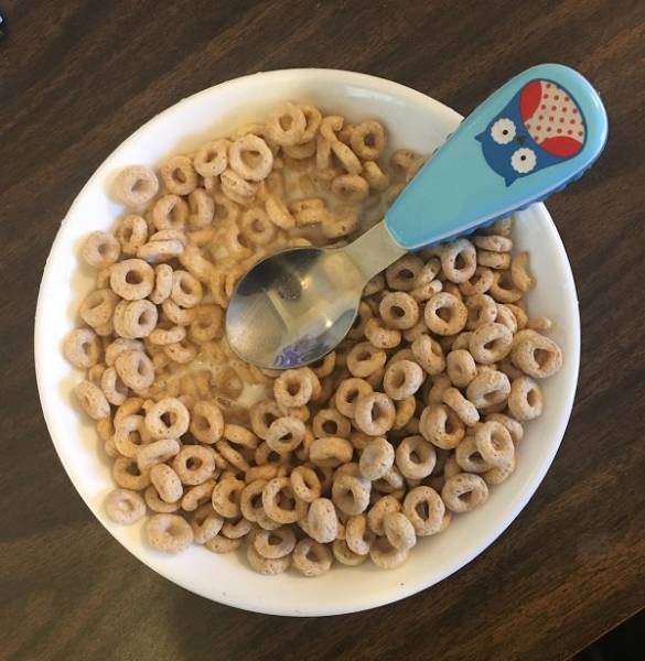True Definition Of Laziness (29 pics)