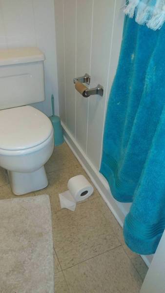 True Definition Of Laziness (29 pics)
