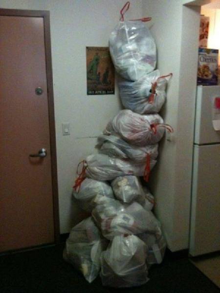 True Definition Of Laziness (29 pics)