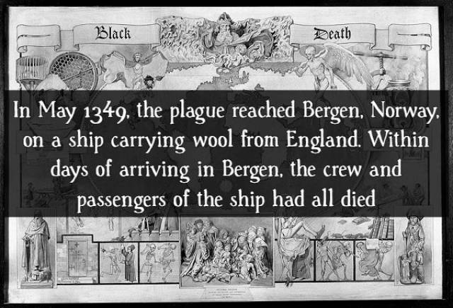Facts About The Black Death (16 pics)