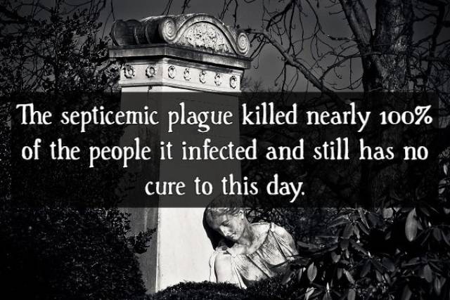 Facts About The Black Death (16 pics)