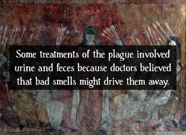 Facts About The Black Death (16 pics)