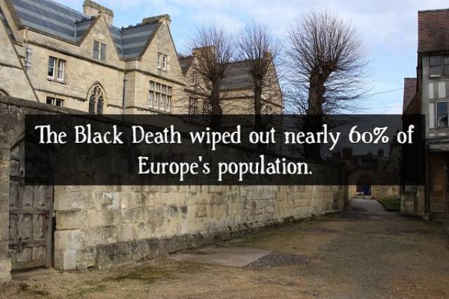 Facts About The Black Death (16 pics)