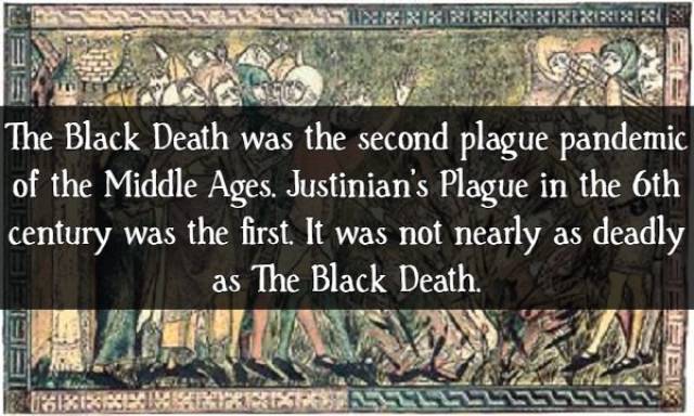 Facts About The Black Death (16 pics)