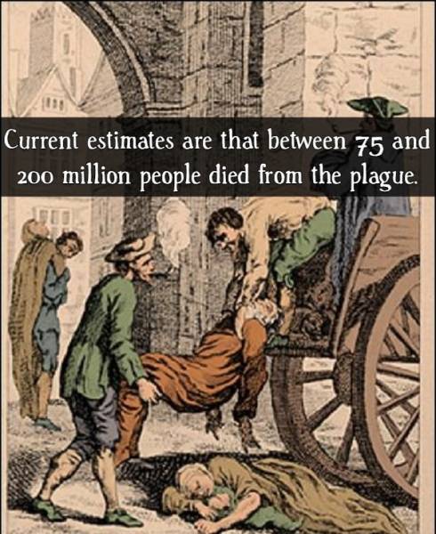 Facts About The Black Death (16 pics)