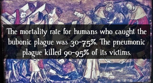 Facts About The Black Death (16 pics)