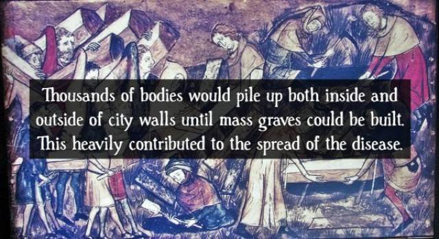 Facts About The Black Death (16 pics)