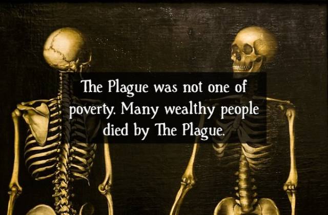 Facts About The Black Death (16 pics)