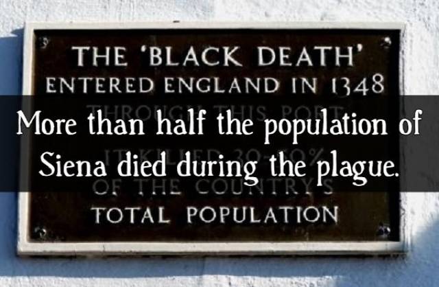 Facts About The Black Death (16 pics)