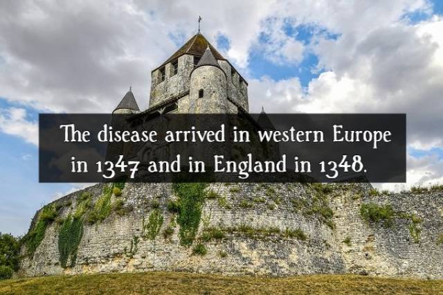 Facts About The Black Death (16 pics)
