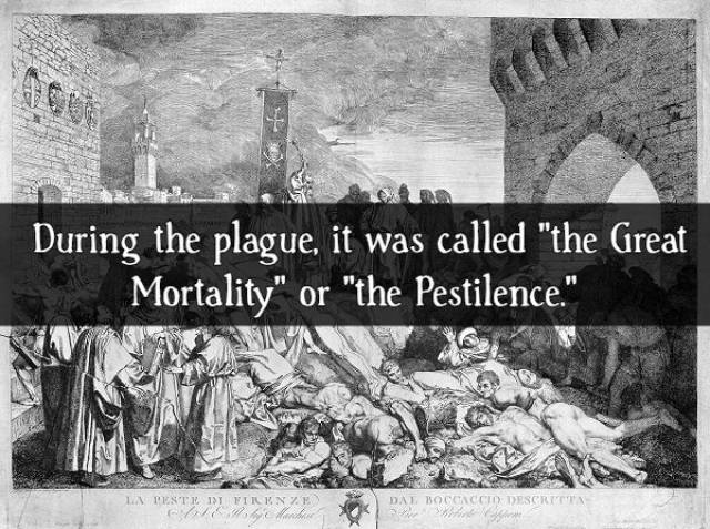 Facts About The Black Death (16 pics)