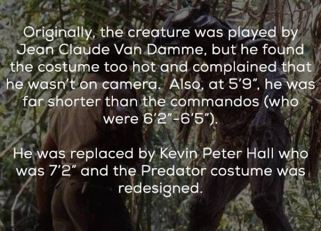 Facts About The Original “Predator” (21 pics)