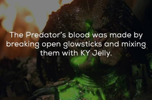 Facts About The Original “Predator” (21 pics)