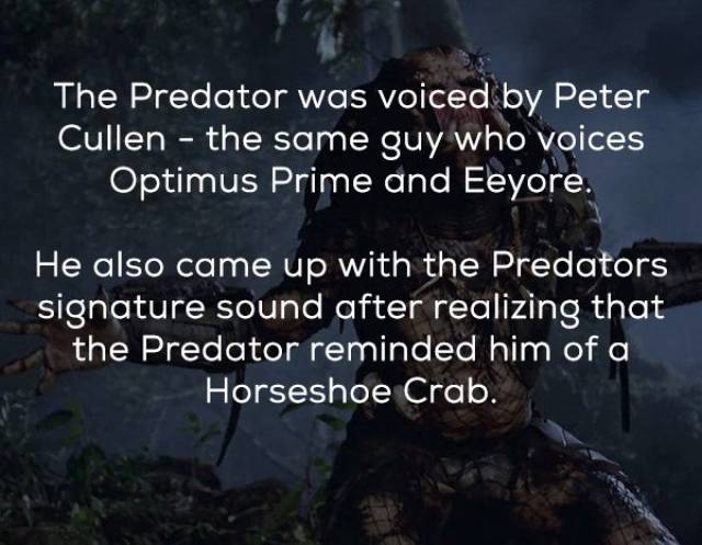 Facts About The Original “Predator” (21 pics)