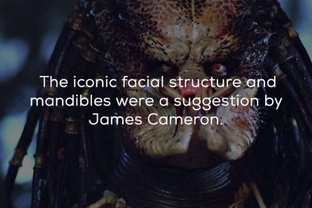 Facts About The Original “Predator” (21 pics)