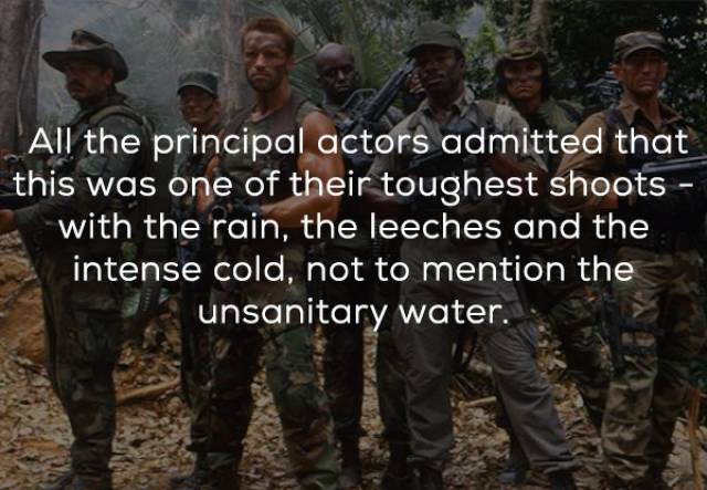 Facts About The Original “Predator” (21 pics)