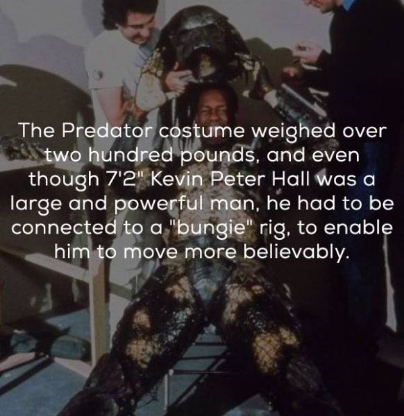 Facts About The Original “Predator” (21 pics)