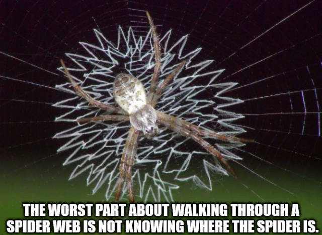 Shower Thoughts (17 pics)