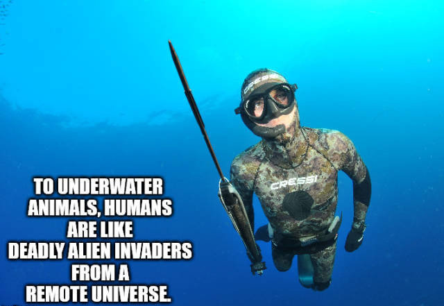 Shower Thoughts (17 pics)