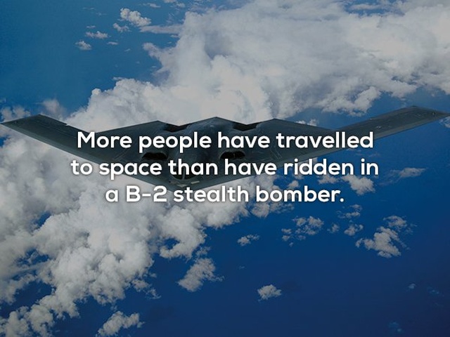 Interesting Facts (24 pics)